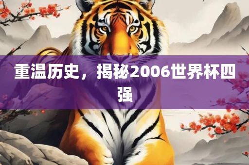 重温历史，揭秘2006世界杯四强漯河市盈旭机械设备有限公司