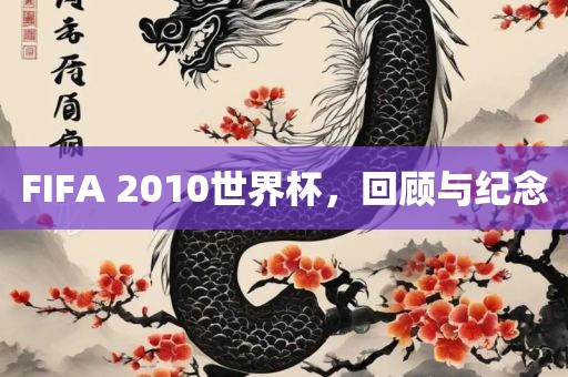 FIFA 2010世界杯，回顾漯河市盈旭机械设备有限公司与纪念