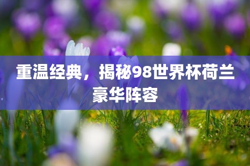 重温经典，揭秘98世界杯荷兰豪华阵容