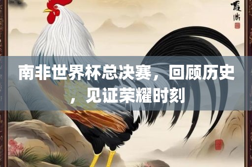南非世界杯总决赛，回顾历史，见证荣耀时刻漯河市盈旭机械设备有限公司