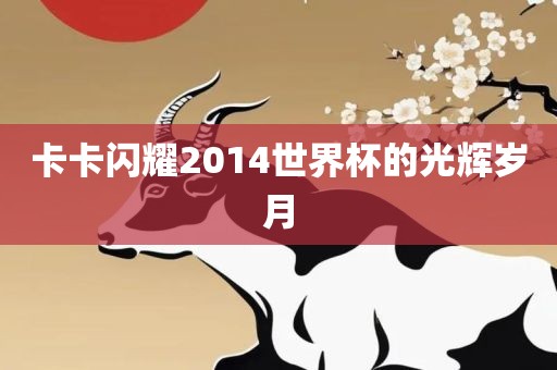 卡卡闪耀2014世界杯的光辉岁月漯河市盈旭机械设备有限公司