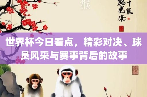 世界杯今日看点，精彩对决、球员风采与赛事背后的故事漯河市盈旭机械设备有限公司
