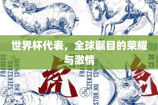 世界杯代表，全球瞩目的荣耀与激情