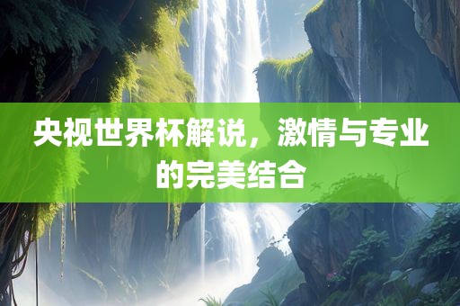 央视世界杯解说，激情与专业的完美结合漯河市盈旭机械设备有限公司