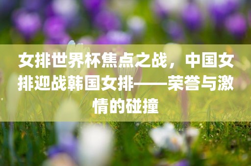 女排世界杯焦点之战，中国女排迎战韩国女排——荣誉与激情的碰撞漯河市盈旭机械设备有限公司