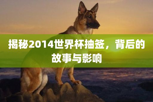 揭秘2014世界杯抽签，背后的故事与影响