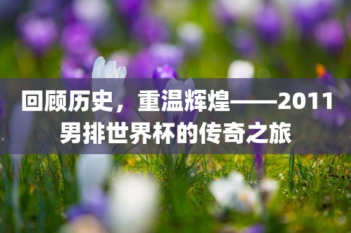 回顾历史，重温辉煌——2011男排世界杯的传奇之旅