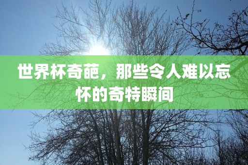 世界杯奇葩，那些令人难以忘怀的奇特瞬间漯河市盈旭机械设备有限公司