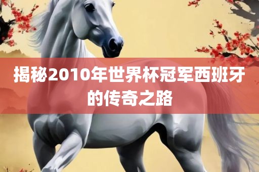 揭秘2010年世界杯冠军西班牙的传奇之路
