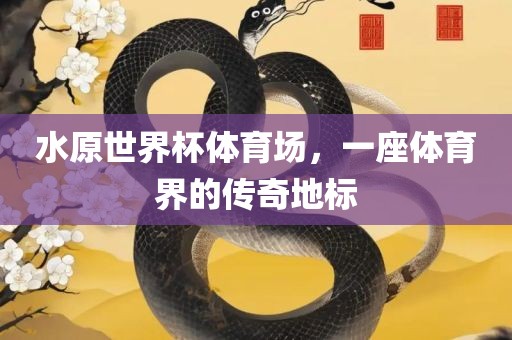 水原世界杯体育场，一座体育界的传奇地标漯河市盈旭机械设备有限公司