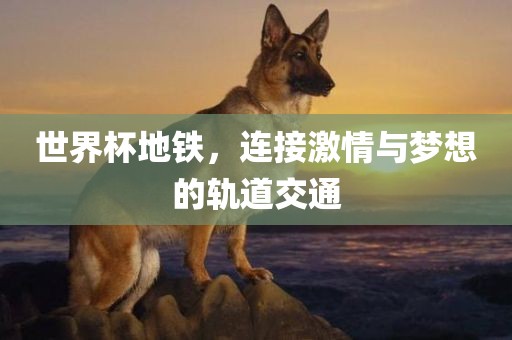 世界杯地铁，连接激情与梦想的轨道交通漯河市盈旭机械设备有限公司