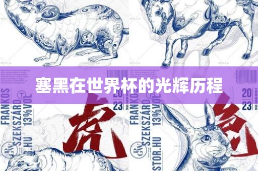 塞黑在世界杯的光辉历程漯河市盈旭机械设备有限公司