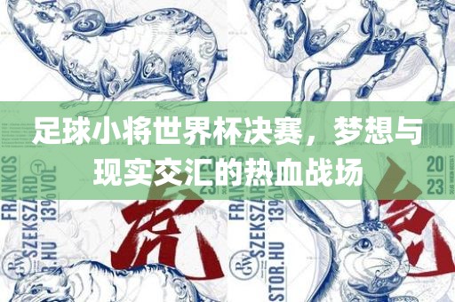 足球漯河市盈旭机械设备有限公司小将世界杯决赛，梦想与现实交汇的热血战场