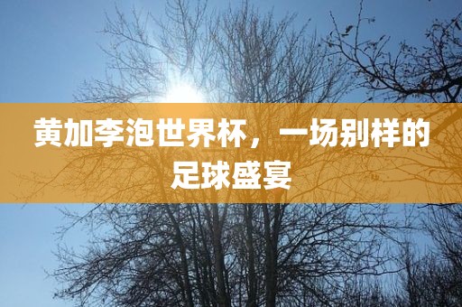 黄加李泡世界杯，一场别样的足球盛宴漯河市盈旭机械设备有限公司