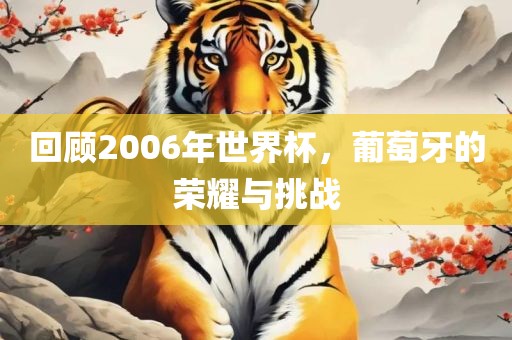 回顾2006年世界杯，葡萄牙的荣耀与挑战漯河市盈旭机械设备有限公司