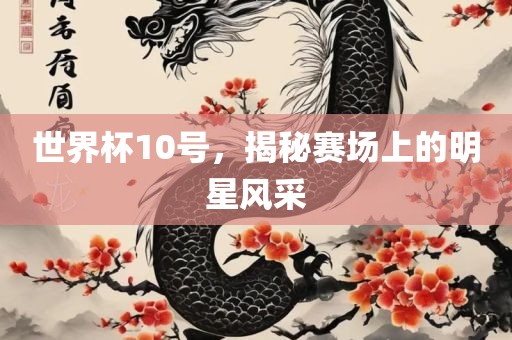 世界杯10号，揭秘赛场上的明星风采