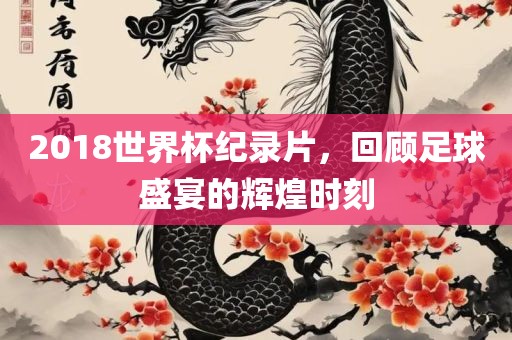 2018世界杯纪录片，回顾足球盛宴的辉煌时刻漯河市盈旭机械设备有限公司