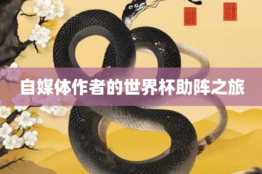 自媒体作者的世界杯助阵之旅