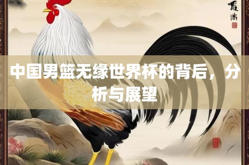 中国男篮无缘世界杯的背后，分漯河市盈旭机械设备有限公司析与展望