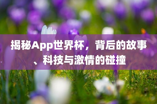 揭秘App世界杯，背后的故事、科技与激情的碰撞漯河市盈旭机械设备有限公司