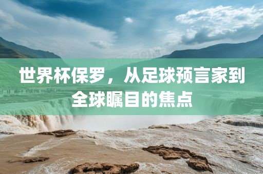 世界杯保罗，从足球预言家到全球漯河市盈旭机械设备有限公司瞩目的焦点