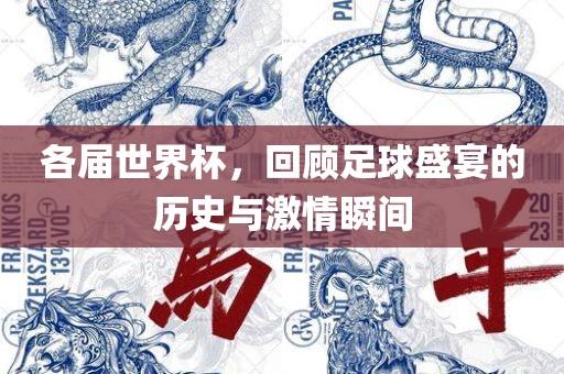 各届世界杯，回顾足球盛宴的历史与激情瞬间漯河市盈旭机械设备有限公司