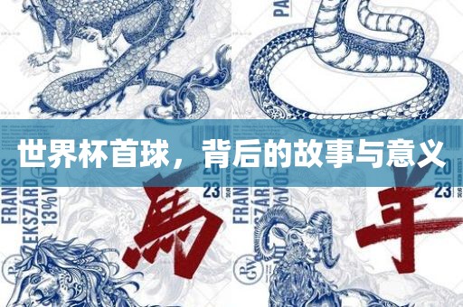 世界杯首球，背后的故事与意义漯河市盈旭机械设备有限公司