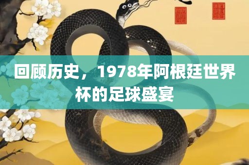 回顾历史，1978年阿根廷世界杯的足球盛宴漯河市盈旭机械设备有限公司