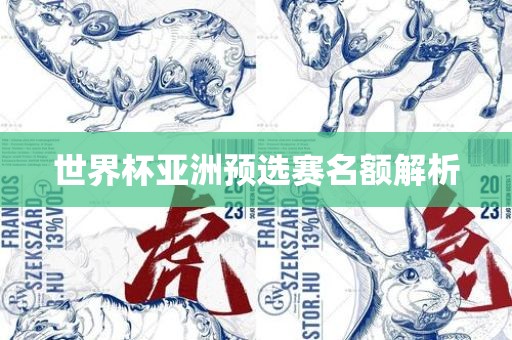 世界杯亚洲预选赛名额解析漯河市盈旭机械设备有限公司