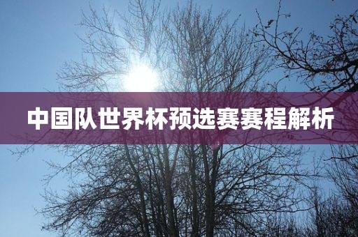 中国队世界杯预选赛赛程解析漯河市盈旭机械设备有限公司