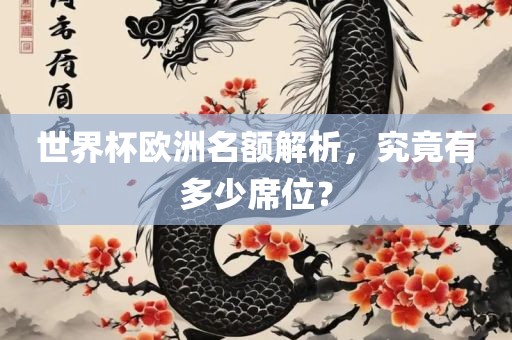 世界杯欧洲名额解析，究竟有多少席位？漯河市盈旭机械设备有限公司