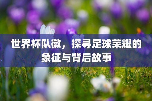 世界杯队徽，探寻足球荣耀的象征与背后故事漯河市盈旭机械设备有限公司