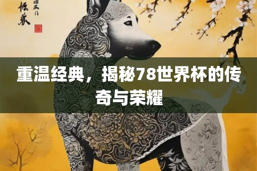 重温经典，揭秘78世界杯的传奇与荣耀漯河市盈旭机械设备有限公司