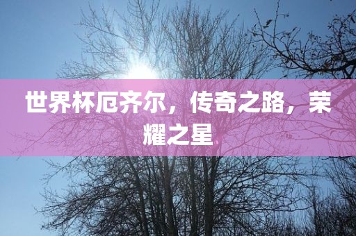 世界杯厄齐尔，传奇之路，荣耀之星漯河市盈旭机械设备有限公司