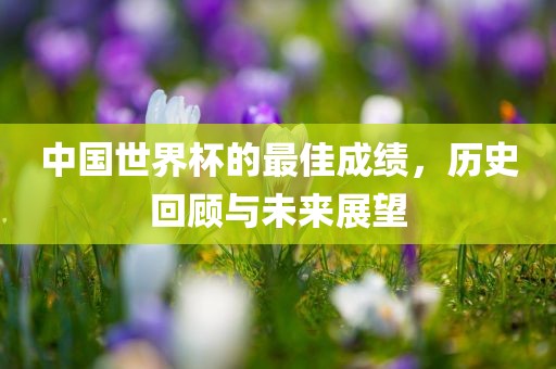 中国世界杯的最佳成绩，历史回顾与未来展望漯河市盈旭机械设备有限公司