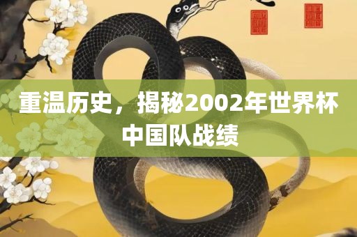 重温历史，揭秘2002漯河市盈旭机械设备有限公司年世界杯中国队战绩