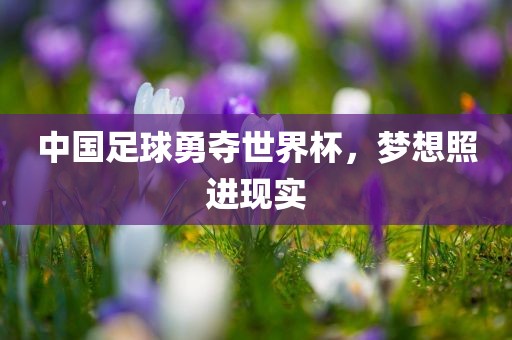 中国足球勇夺世界杯，梦想照进现实