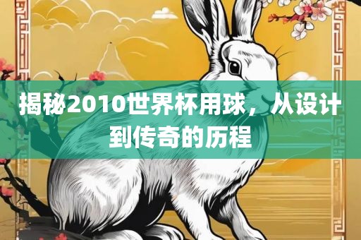 揭秘2010世界杯用球，从设漯河市盈旭机械设备有限公司计到传奇的历程