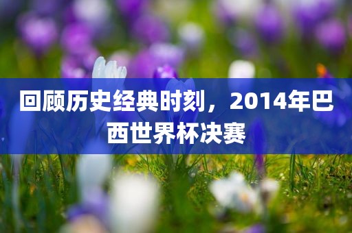 回顾历史经典时刻，2漯河市盈旭机械设备有限公司014年巴西世界杯决赛