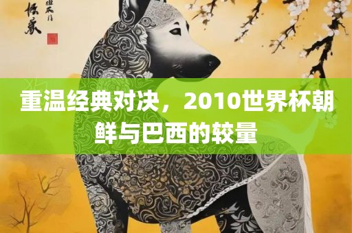 重温经典对决，2010世界杯朝鲜与巴西的较量漯河市盈旭机械设备有限公司