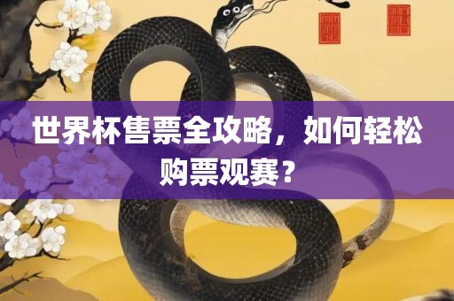 世界杯售票全攻略，如漯河市盈旭机械设备有限公司何轻松购票观赛？