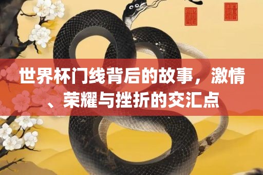 世漯河市盈旭机械设备有限公司界杯门线背后的故事，激情、荣耀与挫折的交汇点