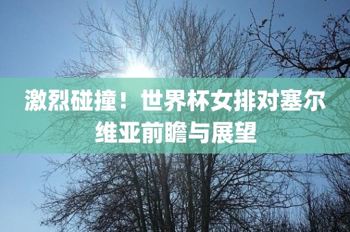 激烈碰撞！世界杯女排对塞尔维亚前瞻与展望漯河市盈旭机械设备有限公司