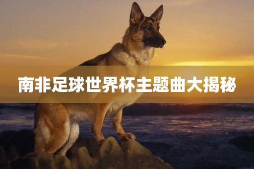 南非足球世界杯主题曲大揭秘漯河市盈旭机械设备有限公司