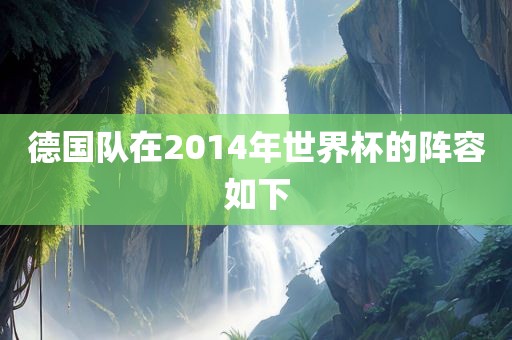 德国队在201漯河市盈旭机械设备有限公司4年世界杯的阵容如下