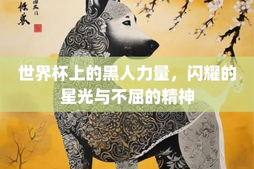 世界杯上的黑人力量，闪漯河市盈旭机械设备有限公司耀的星光与不屈的精神