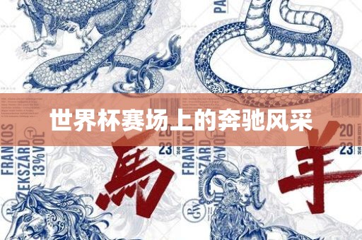 世界杯赛场上的奔驰风采