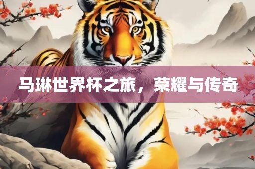 马琳世界杯之旅，荣耀与传奇漯河市盈旭机械设备有限公司