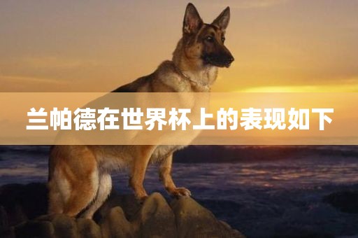 兰帕德在世界杯上的表漯河市盈旭机械设备有限公司现如下