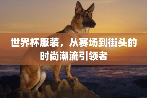 世界杯服装，从赛场到街头的时尚潮漯河市盈旭机械设备有限公司流引领者